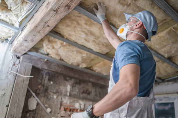 Best Types of Insulation in Champion Heights, OH